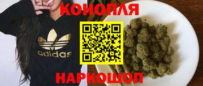 стафф Будённовск