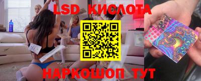 стафф Будённовск