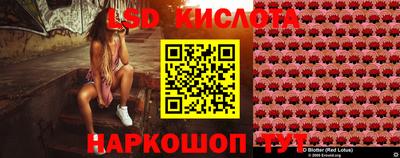 стафф Будённовск